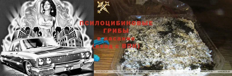 что такое   мориарти телеграм  Галлюциногенные грибы Magic Shrooms  Великие Луки 